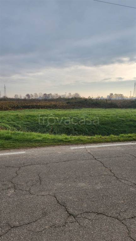 terreno agricolo in vendita a Marcaria in zona Campitello