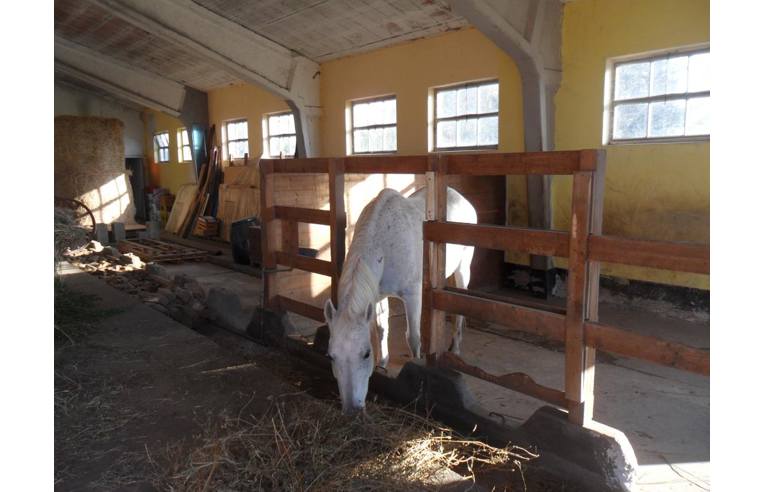 casa indipendente in vendita a Marcaria in zona Campitello