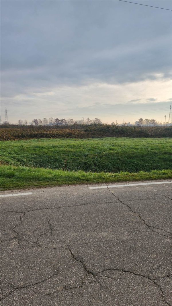 terreno agricolo in vendita a Marcaria in zona Campitello