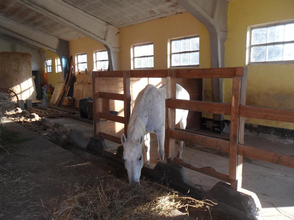 casa indipendente in vendita a Marcaria in zona Campitello
