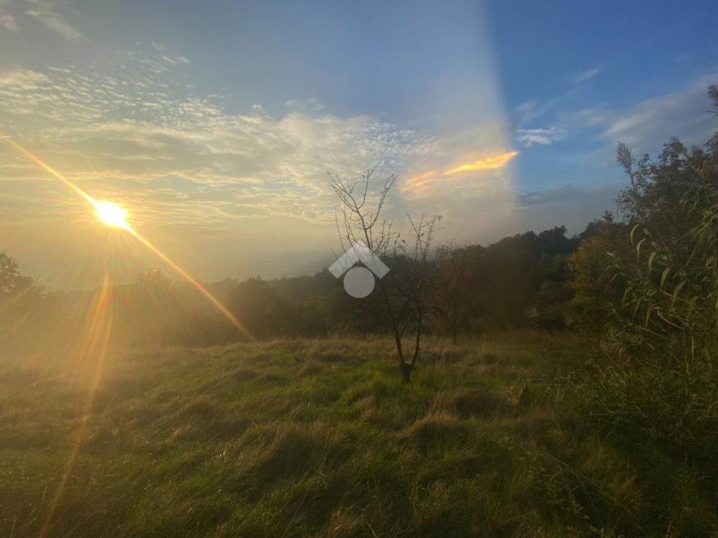 terreno agricolo in vendita a San Raffaele Cimena