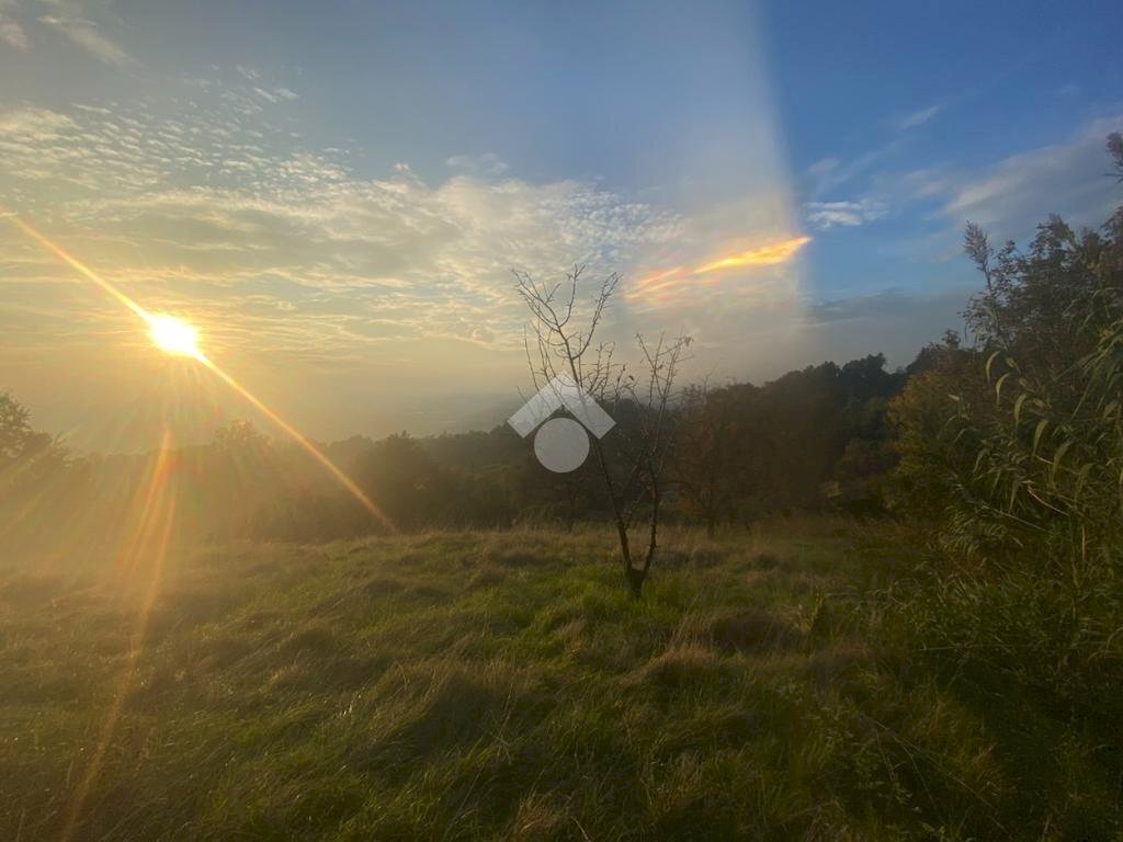 terreno agricolo in vendita a San Raffaele Cimena
