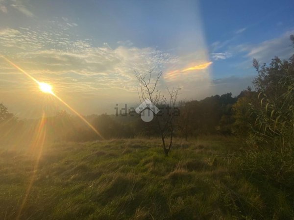 terreno agricolo in vendita a San Raffaele Cimena