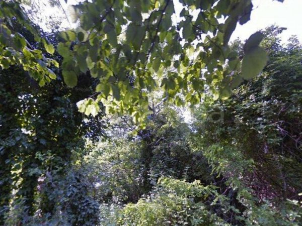 appartamento in vendita a San Raffaele Cimena