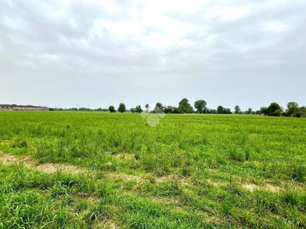 terreno agricolo in vendita a Marmirolo