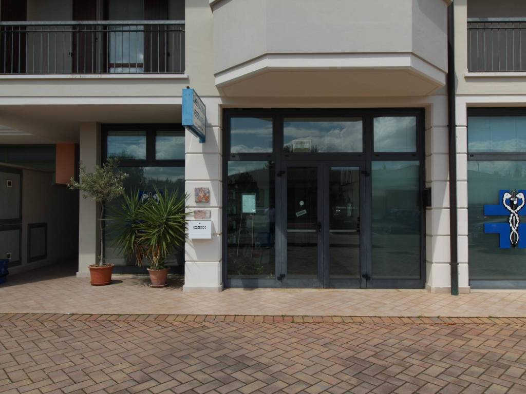 negozio in vendita a Marmirolo
