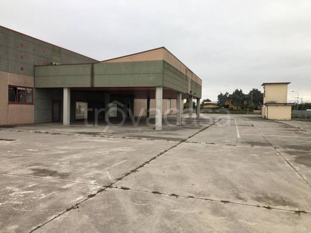 negozio in vendita a Marmirolo