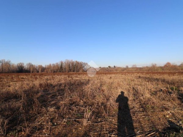 terreno agricolo in vendita a Marmirolo in zona Pozzolo