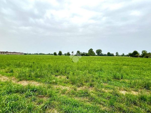 terreno agricolo in vendita a Marmirolo