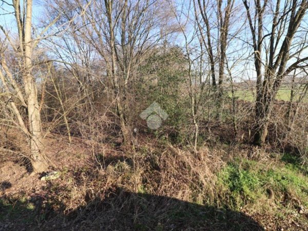 terreno agricolo in vendita a Marmirolo in zona Pozzolo