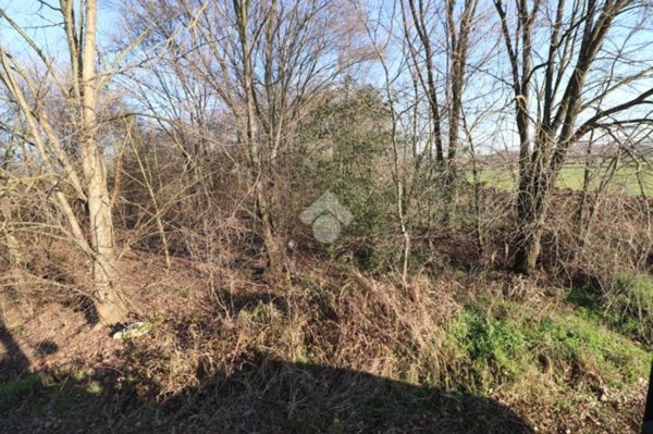 terreno agricolo in vendita a Marmirolo in zona Pozzolo