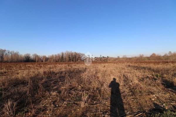 terreno agricolo in vendita a Marmirolo in zona Pozzolo