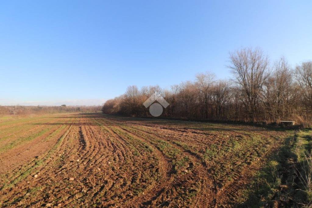 terreno agricolo in vendita a Marmirolo in zona Pozzolo