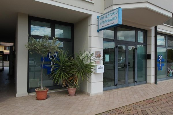 appartamento in vendita a Marmirolo