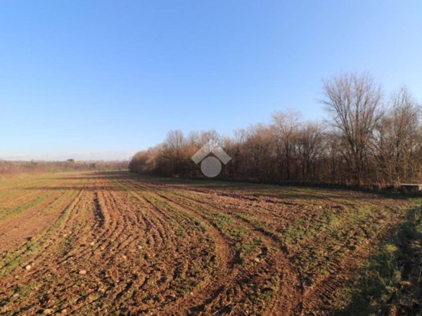 terreno agricolo in vendita a Marmirolo in zona Pozzolo