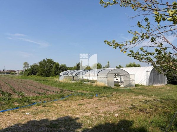 terreno agricolo in vendita a Marmirolo in zona Marengo
