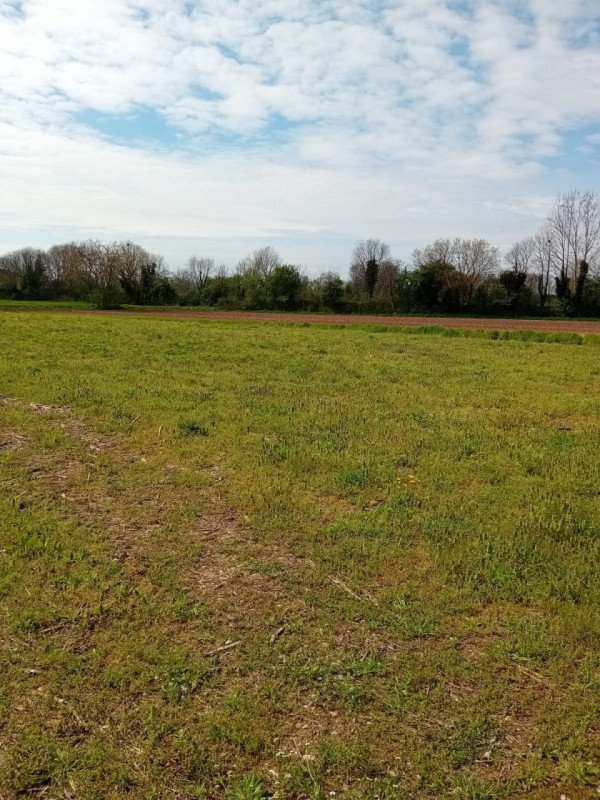 terreno agricolo in vendita a Marmirolo in zona Marengo