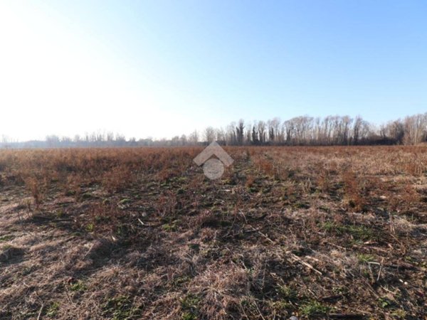 terreno agricolo in vendita a Marmirolo in zona Scaraglio