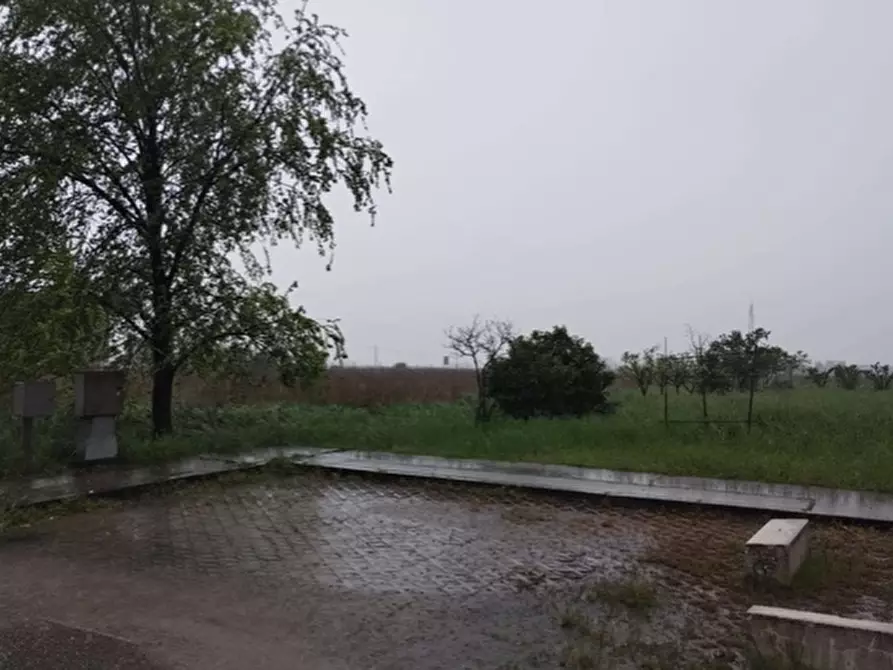 terreno agricolo in vendita a Medole