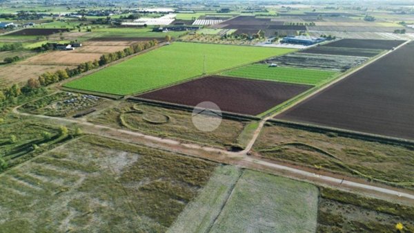 terreno agricolo in vendita a Medole in zona Crocevia