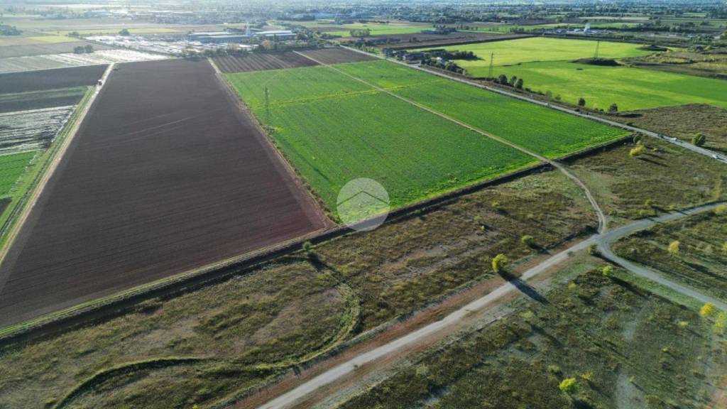 terreno agricolo in vendita a Medole in zona Crocevia