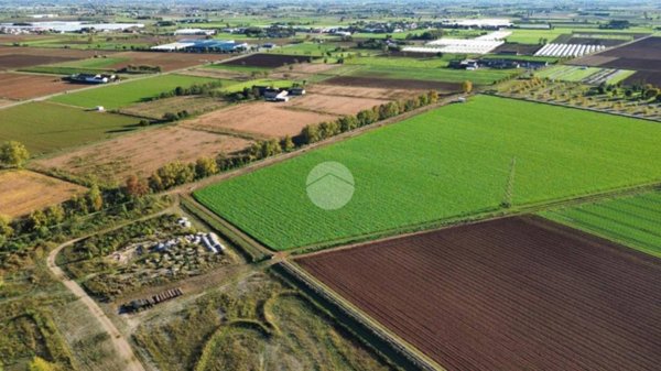 terreno agricolo in vendita a Medole in zona Crocevia