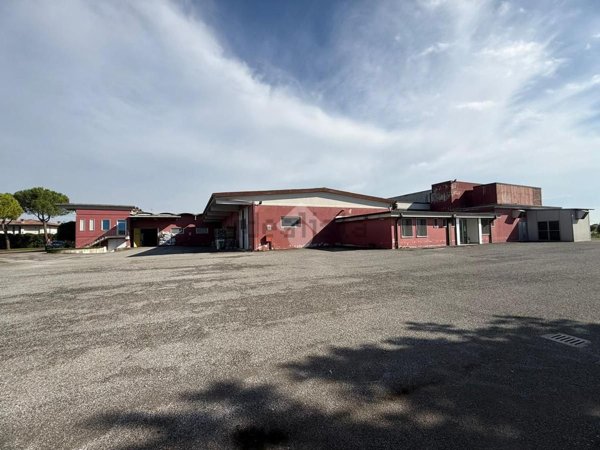 capannone in vendita a Medole