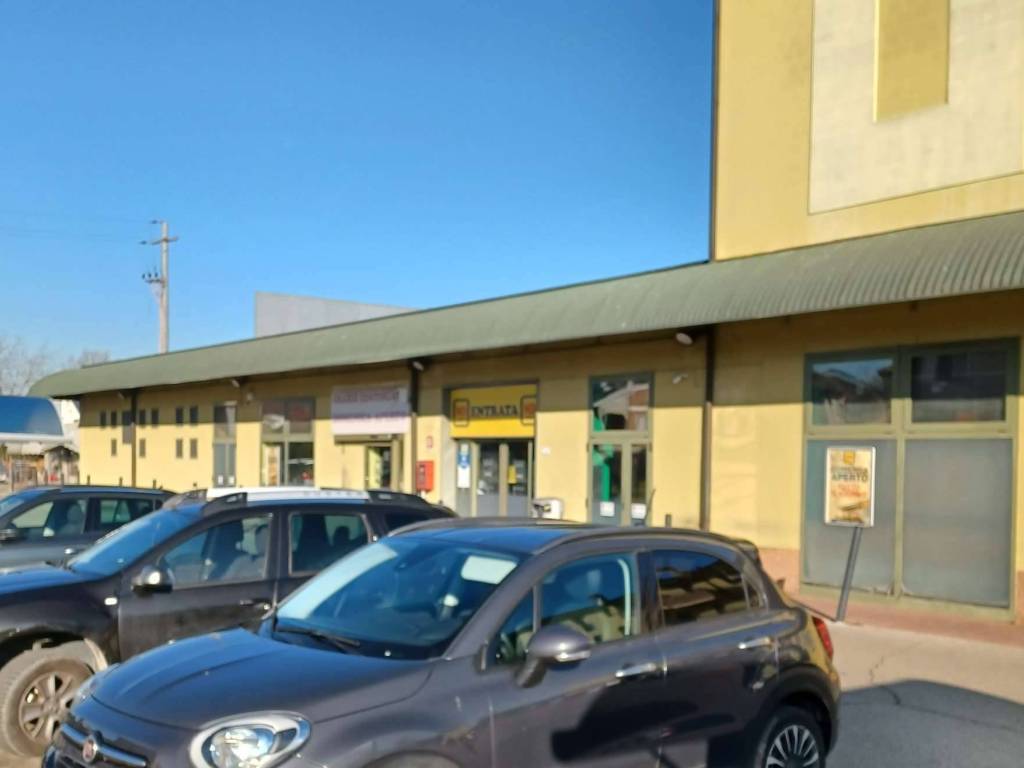 negozio in vendita a Moglia
