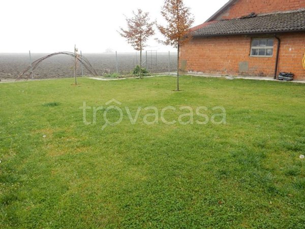 casa indipendente in vendita a Moglia