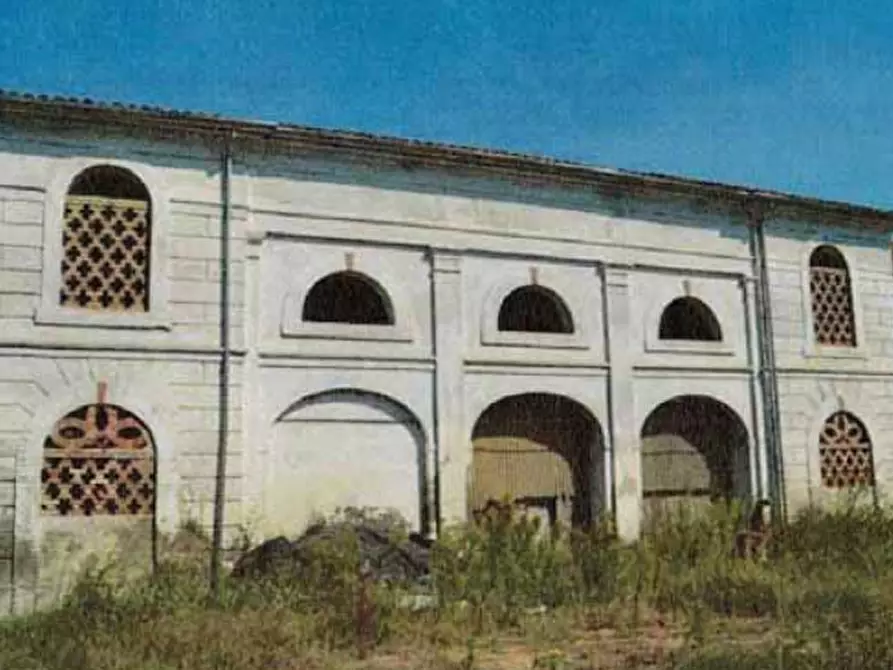 casa indipendente in vendita a Moglia