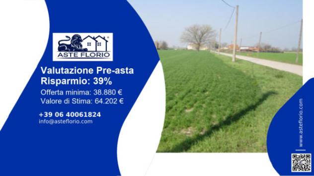 terreno agricolo in vendita a Moglia