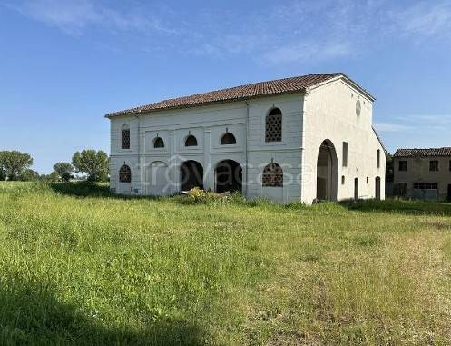 casa indipendente in vendita a Moglia