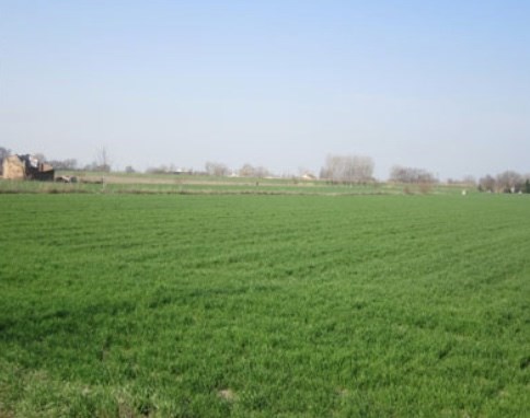 terreno edificabile in vendita a Moglia
