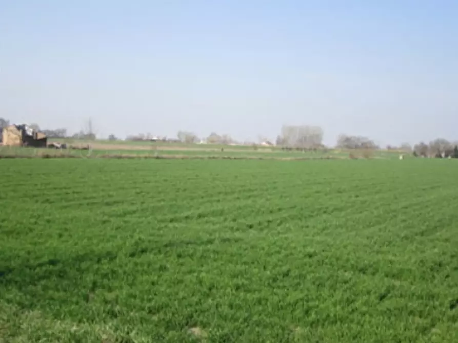 mansarda in vendita a Moglia