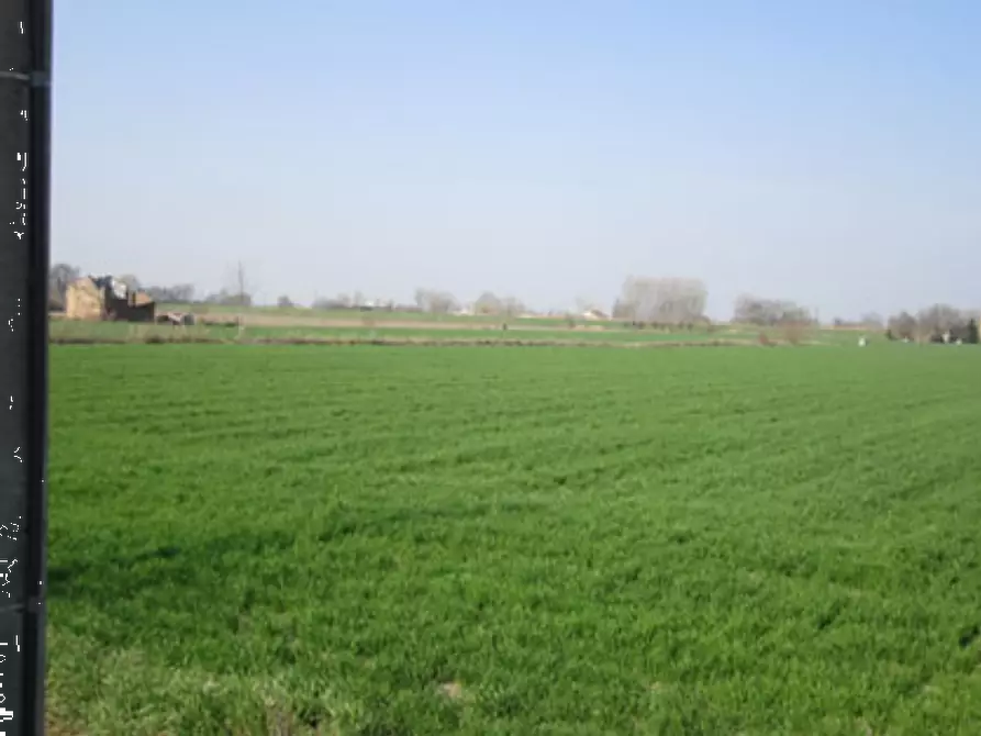 terreno agricolo in vendita a Moglia