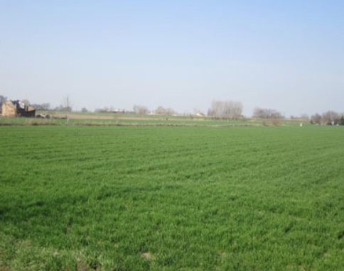 terreno edificabile in vendita a Moglia