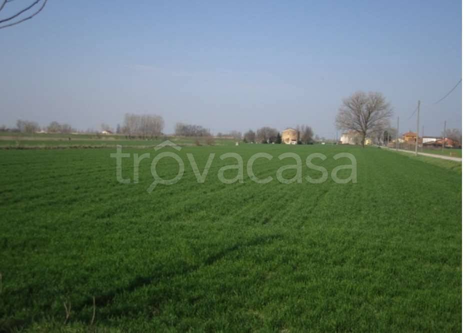 monolocale in vendita a Moglia