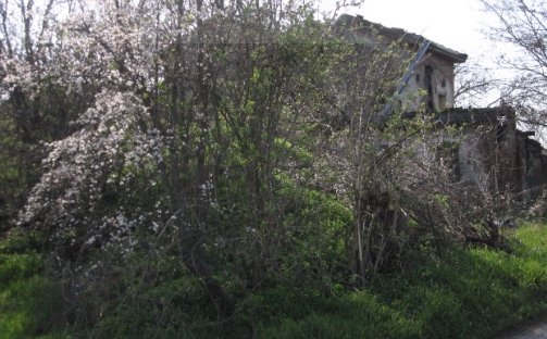 terreno edificabile in vendita a Moglia