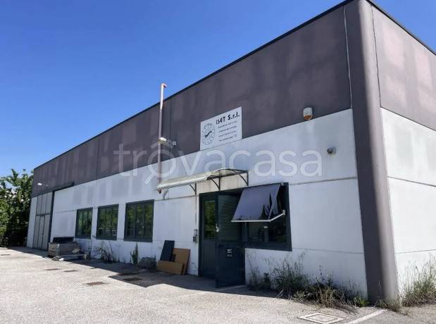 appartamento in vendita a Moglia