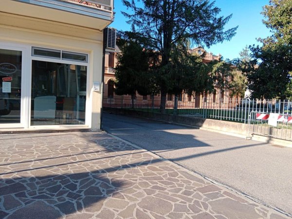 pentavano in vendita a Moglia