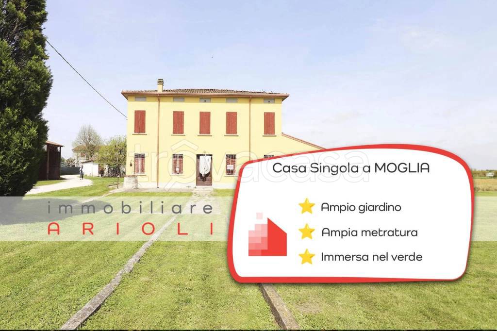 casa indipendente in vendita a Moglia