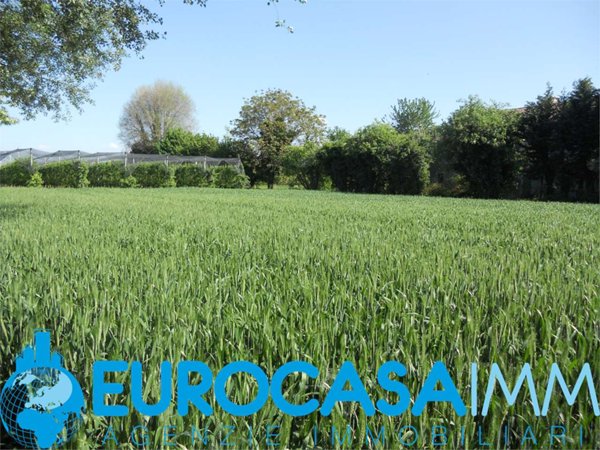 terreno edificabile in vendita a Moglia