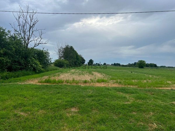 casa indipendente in vendita a Moglia