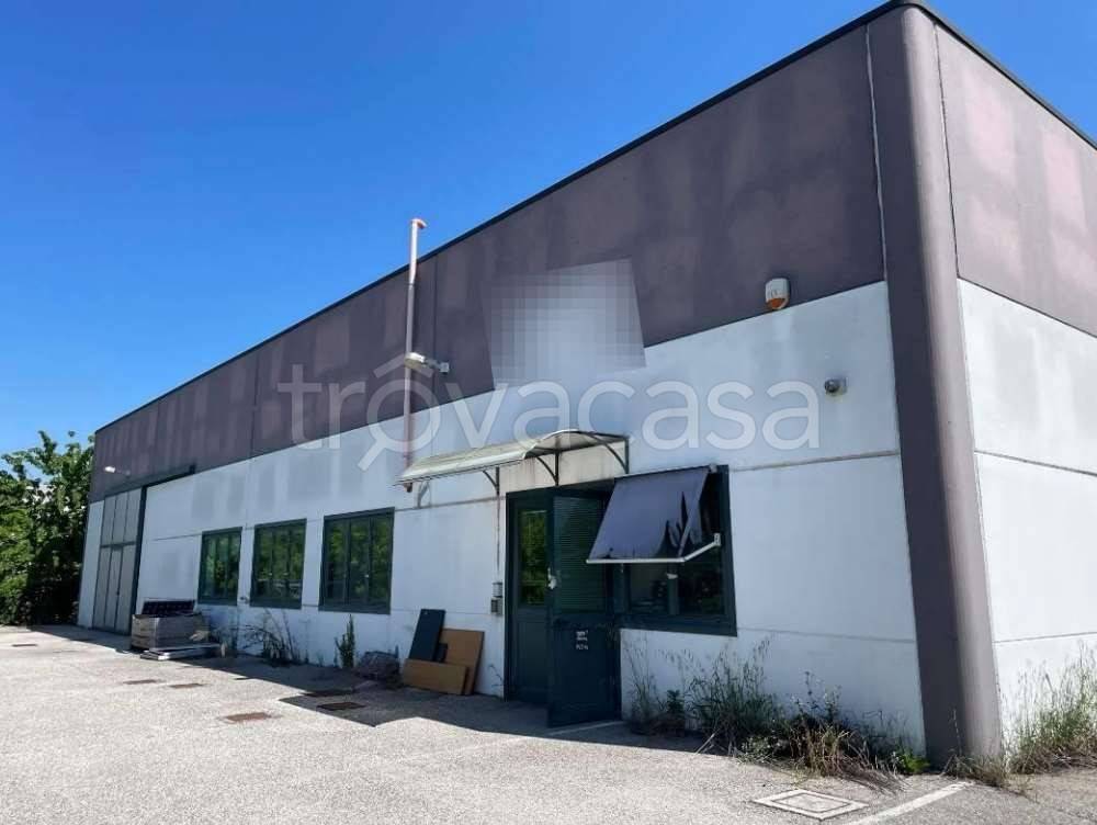 negozio in vendita a Moglia