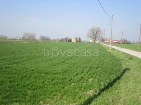 ufficio in vendita a Moglia