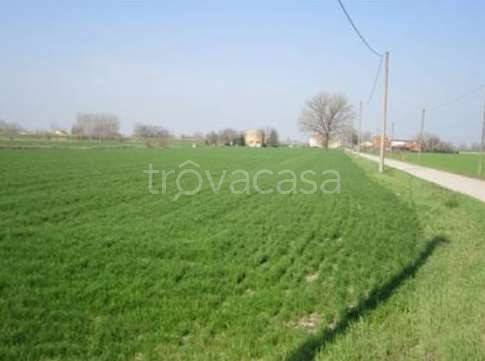 terreno edificabile in vendita a Moglia