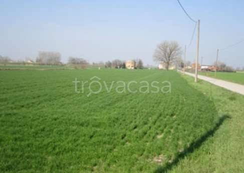 monolocale in vendita a Moglia