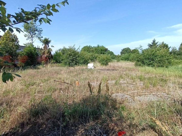 terreno edificabile in vendita a Moglia