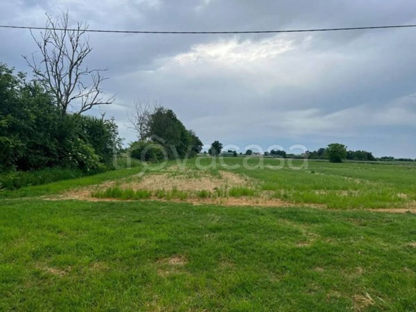 terreno agricolo in vendita a Moglia