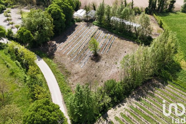 terreno agricolo in vendita a Monzambano
